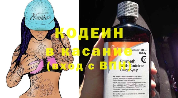 дмт Карпинск