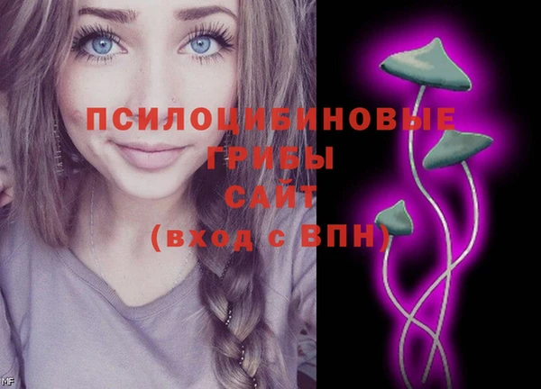 прущие грибы Киреевск