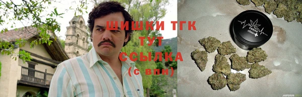прущие грибы Киреевск